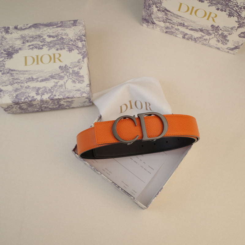 Dior-CD logo-Dull color ZSB3502d